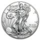 Silber American Eagle 1 OZ Jahrgang zufällig