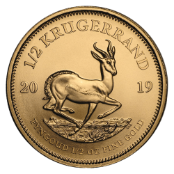 Kaufen Sie die ½ OZ Krügerrand Goldmünze bei Goldwechselhaus