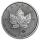 Maple Leaf 1 oz Platinmünze Jahrgang zufällig