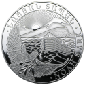 1 OZ Silber Arche Noah kaufen bei Goldwechselhaus
