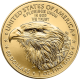 Gold American Eagle 1 OZ 2023