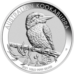 Kaufen Sie 1 KG Silber im Goldwechselhaus