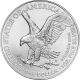 Silber American Eagle 1 OZ 2023