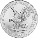 Kaufen Sie die 1 oz American Eagle Silbermünze