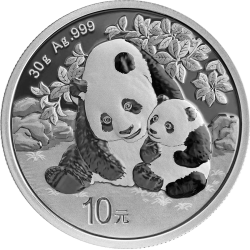 Silber China Panda 30 g 2024