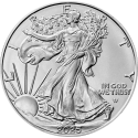 Kaufen Sie die 1 oz American Eagle Silbermünze
