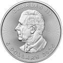 Silber Maple Leaf 1 OZ 2025