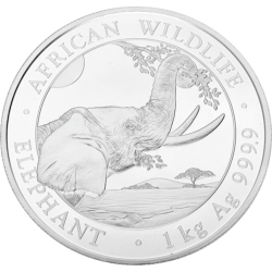 Kaufen Sie die silberne African Wildlife somalischer Elefant beim Goldwechselhaus