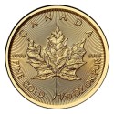 Kaufen Sie die 1/10 oz Maple Leaf Goldmünze 2026 bei Goldwechselhaus