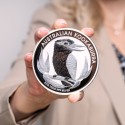 Kaufen Sie den 1 kg Kookaburra Silber bei Goldwechselhaus
